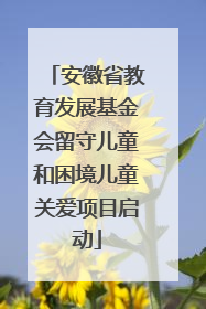 安徽省教育发展基金会留守儿童和困境儿童关爱项目启动