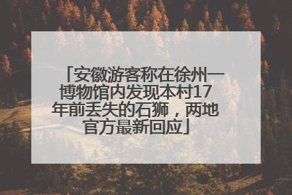 安徽游客称在徐州一博物馆内发现本村17年前丢失的石狮，两地官方最新回应