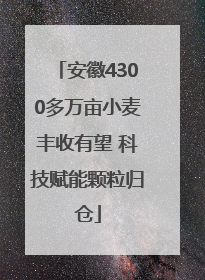 安徽4300多万亩小麦丰收有望 科技赋能颗粒归仓