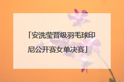 安洗莹晋级羽毛球印尼公开赛女单决赛