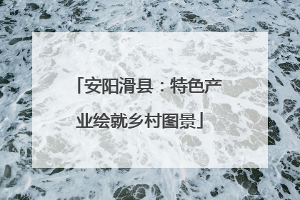 安阳滑县：特色产业绘就乡村图景