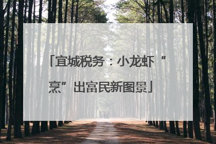 宜城税务：小龙虾“烹”出富民新图景