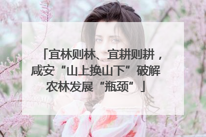 宜林则林、宜耕则耕，咸安“山上换山下”破解农林发展“瓶颈”