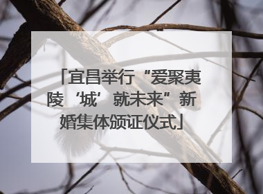 宜昌举行“爱聚夷陵‘城’就未来”新婚集体颁证仪式