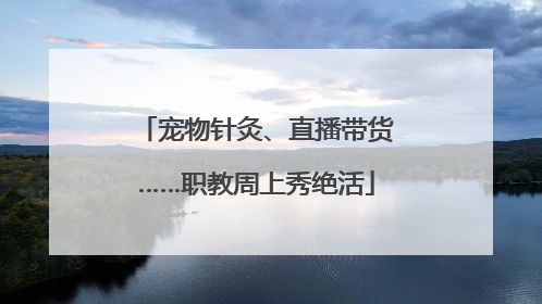宠物针灸、直播带货……职教周上秀绝活