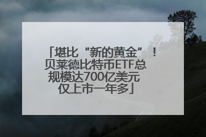 堪比“新的黄金”！贝莱德比特币ETF总规模达700亿美元 仅上市一年多