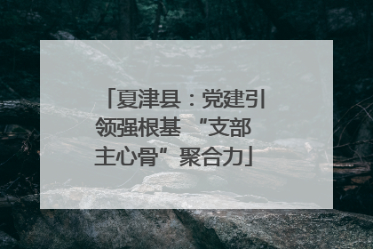 夏津县：党建引领强根基 “支部主心骨”聚合力