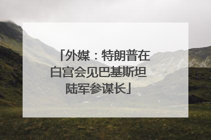 外媒：特朗普在白宫会见巴基斯坦陆军参谋长