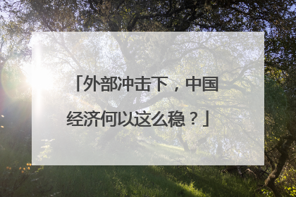 外部冲击下，中国经济何以这么稳？