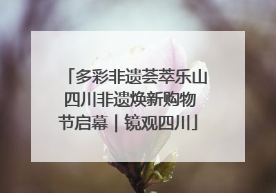 多彩非遗荟萃乐山 四川非遗焕新购物节启幕｜镜观四川