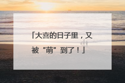 大喜的日子里，又被“萌”到了！
