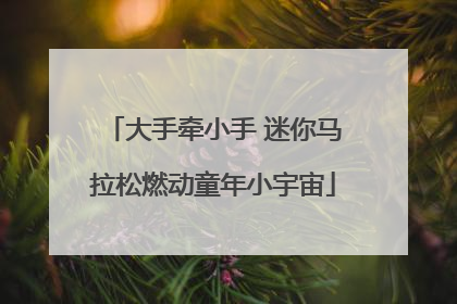 大手牵小手 迷你马拉松燃动童年小宇宙