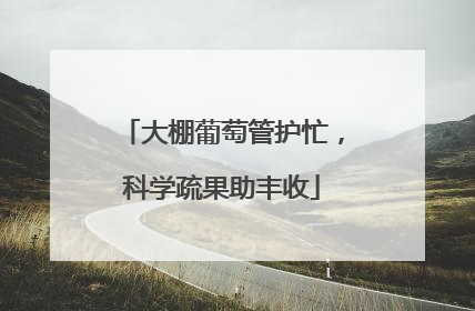 大棚葡萄管护忙，科学疏果助丰收