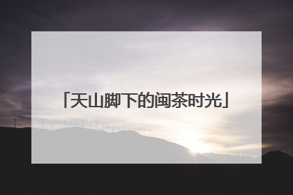 天山脚下的闽茶时光