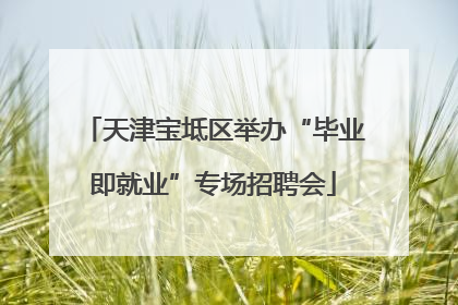 天津宝坻区举办“毕业即就业”专场招聘会
