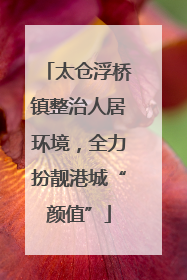 太仓浮桥镇整治人居环境，全力扮靓港城“颜值”