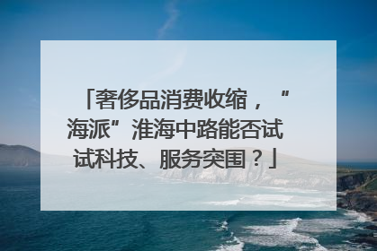 奢侈品消费收缩，“海派”淮海中路能否试试科技、服务突围？