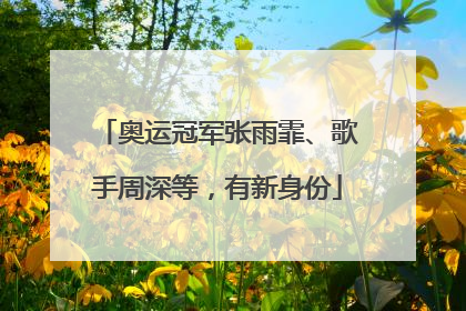 奥运冠军张雨霏、歌手周深等，有新身份