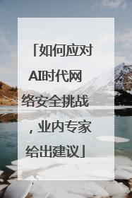 如何应对AI时代网络安全挑战，业内专家给出建议