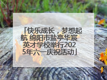 快乐成长，梦想起航 绵阳市盐亭华宸英才学校举行2025年六一庆祝活动