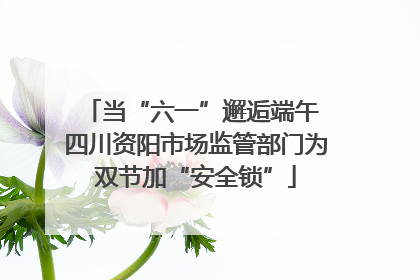 当“六一”邂逅端午 四川资阳市场监管部门为双节加“安全锁”