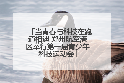 当青春与科技在跑道相遇 郑州航空港区举行第一届青少年科技运动会