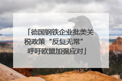 德国钢铁企业批美关税政策“反复无常” 呼吁欧盟加强应对
