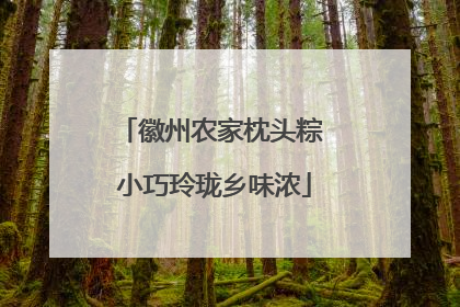 徽州农家枕头粽 小巧玲珑乡味浓