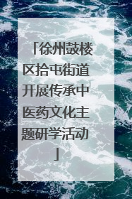 徐州鼓楼区拾屯街道开展传承中医药文化主题研学活动