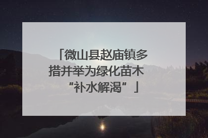 微山县赵庙镇多措并举为绿化苗木“补水解渴”