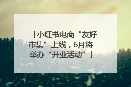 小红书电商“友好市集”上线，6月将举办“开业活动”