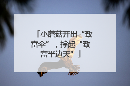 小蘑菇开出“致富伞”，撑起“致富半边天”