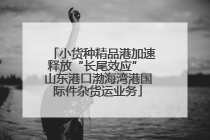 小货种精品港加速释放“长尾效应” 山东港口渤海湾港国际件杂货运业务