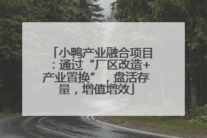 小鸭产业融合项目：通过“厂区改造+产业置换”，盘活存量，增值增效