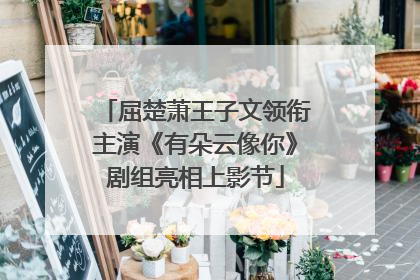 屈楚萧王子文领衔主演《有朵云像你》剧组亮相上影节