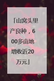 山窝头里产良种，600多亩地增收近20万元