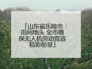 山东省乐陵市：田间地头 全市植保无人机劳动竞赛精彩纷呈