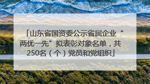 山东省国资委公示省属企业“两优一先”拟表彰对象名单，共250名（个）党员和党组织