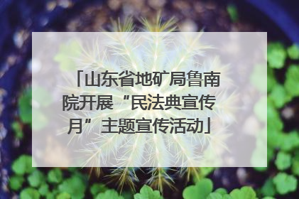 山东省地矿局鲁南院开展“民法典宣传月”主题宣传活动