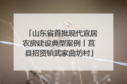 山东省首批现代宜居农房建设典型案例丨莒县招贤镇武家曲坊村