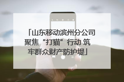 山东移动滨州分公司聚焦“打猫”行动 筑牢群众财产防护堤