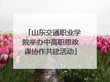山东交通职业学院举办中高职思政课协作共建活动