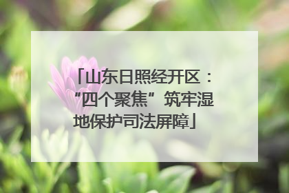 山东日照经开区：“四个聚焦”筑牢湿地保护司法屏障