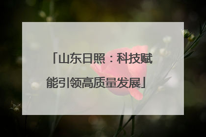 山东日照：科技赋能引领高质量发展