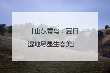 山东青岛：夏日湿地尽显生态美