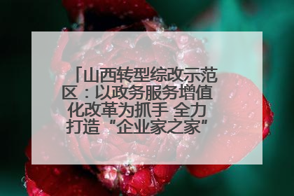 山西转型综改示范区：以政务服务增值化改革为抓手 全力打造“企业家之家”贴心服务体系
