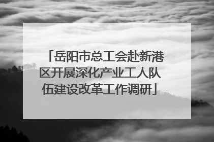 岳阳市总工会赴新港区开展深化产业工人队伍建设改革工作调研