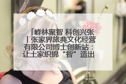 峰林聚智 科创兴张丨张家界旅典文化经营有限公司博士创新站：让土家织锦“智”造出非遗新传奇