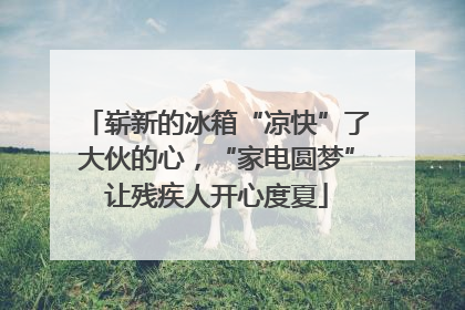 崭新的冰箱“凉快”了大伙的心，“家电圆梦”让残疾人开心度夏