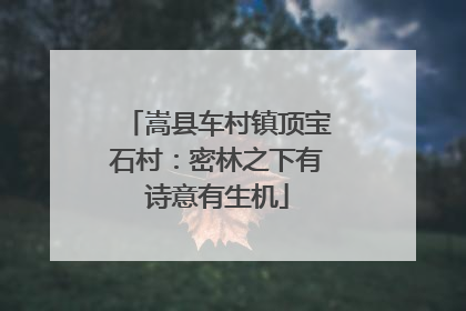 嵩县车村镇顶宝石村：密林之下有诗意有生机